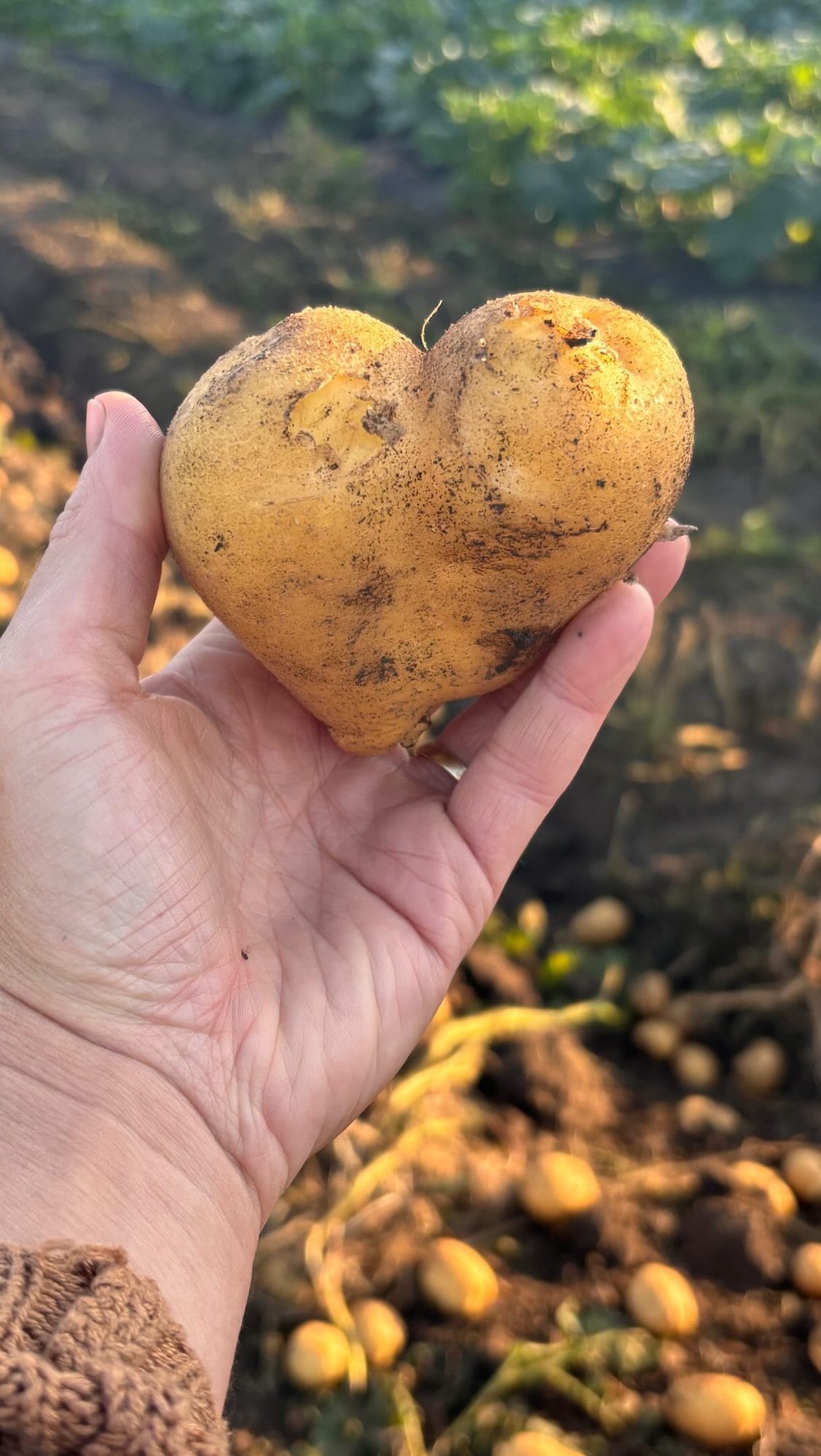 Měsíc práce je za námi