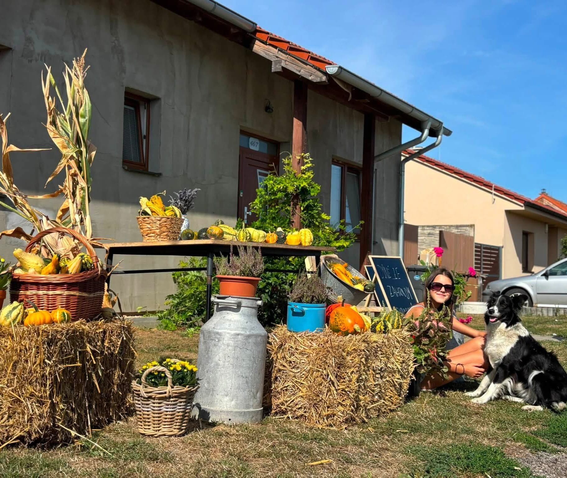 Dneska trochu jinak. Tentokrát nechci propagovat sebe, ale jednu mladou slečnu, na kterou…